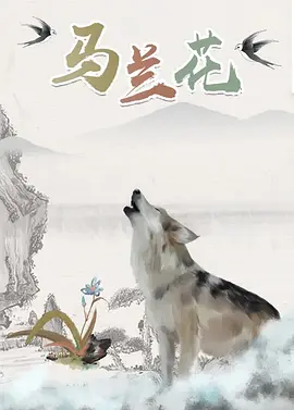 亚洲欧美不卡视频
