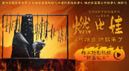 亚洲在线观看一区